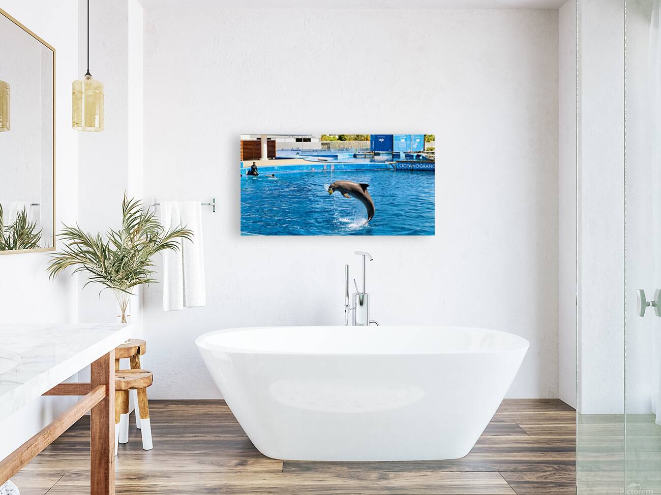 Dolphins perform tricks at Oceanografic in Valencia Spain Reproduction