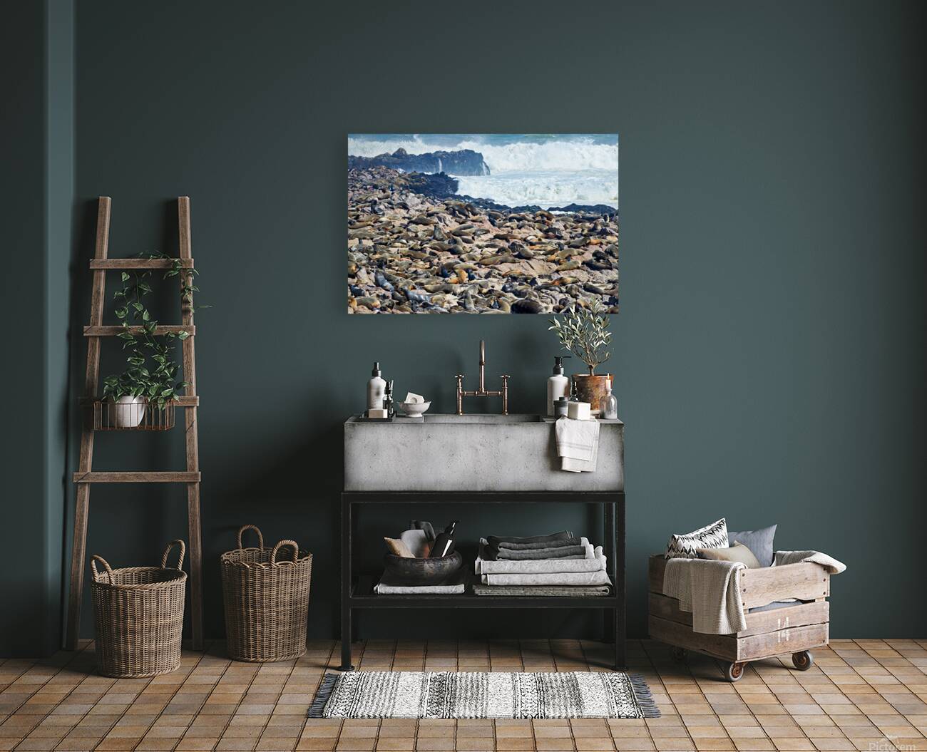 Cape fur seals resting on Skeleton Coast in Namibia near Cape Cr Reproduction