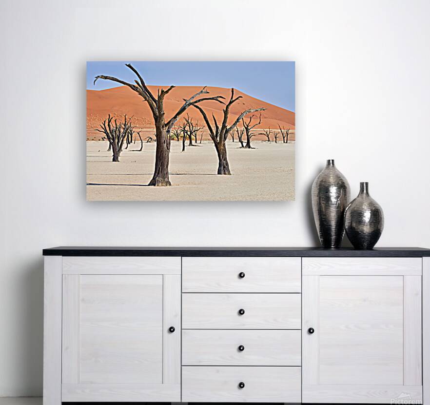 Dried camel thorn trees in Deadvlei pan in Namibia Reproduction