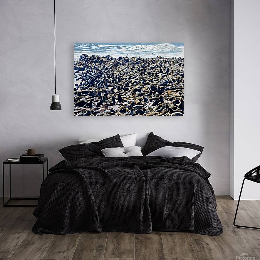 Cape fur seal colony on Skeleton Coast at Cape Cross in Namibia Reproduction