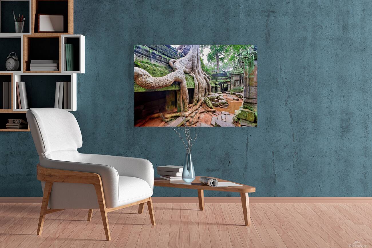 Massive tree roots engulfing ancient moss covered temple ruins. Reproduction