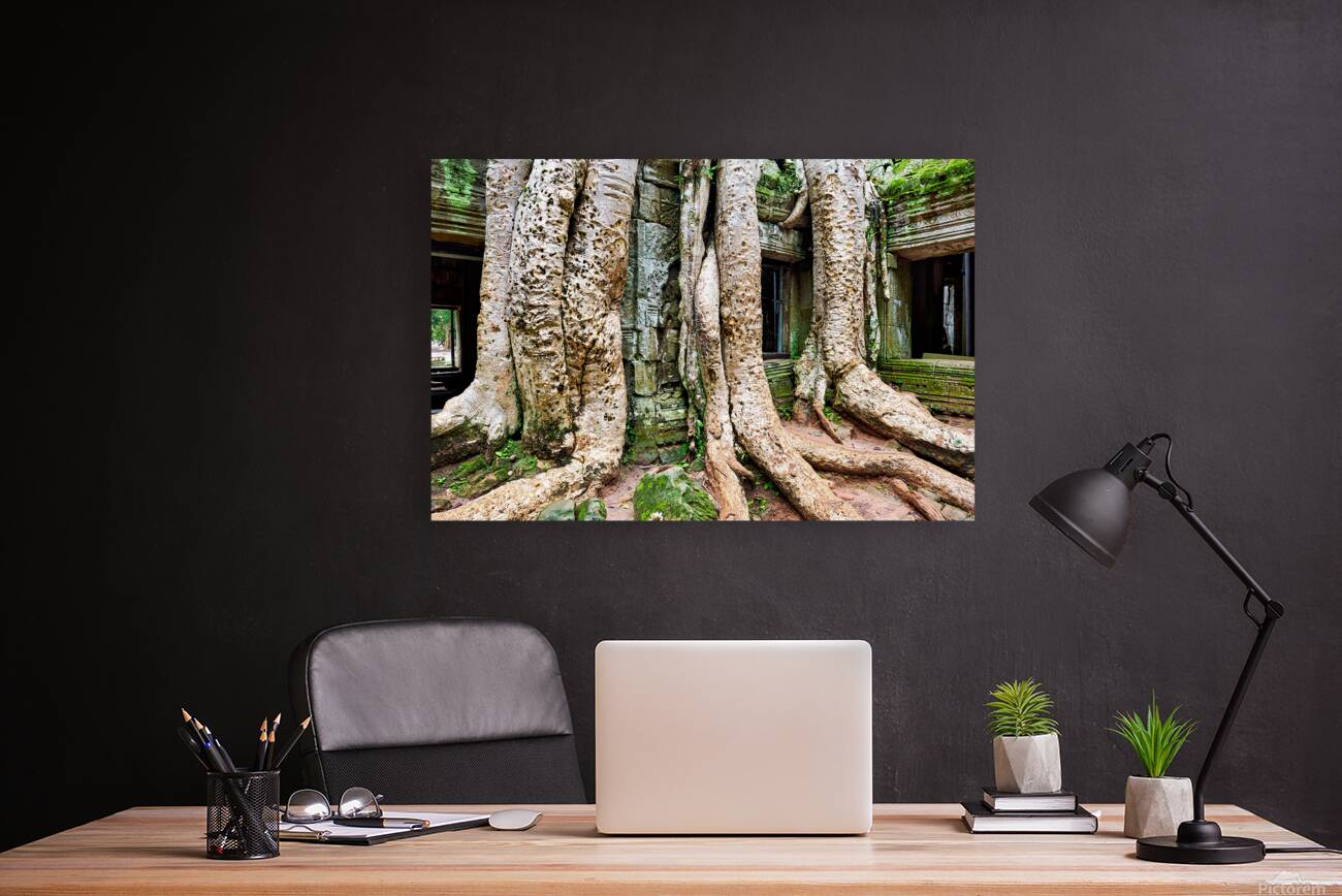 Giant tree roots engulf ancient temple ruins. Reproduction