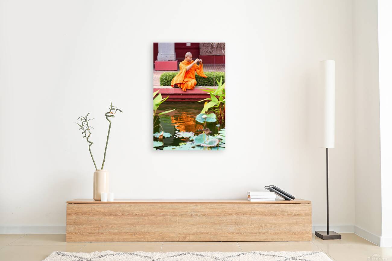 Monk in orange robes takes photo by a lotus pond. Reproduction