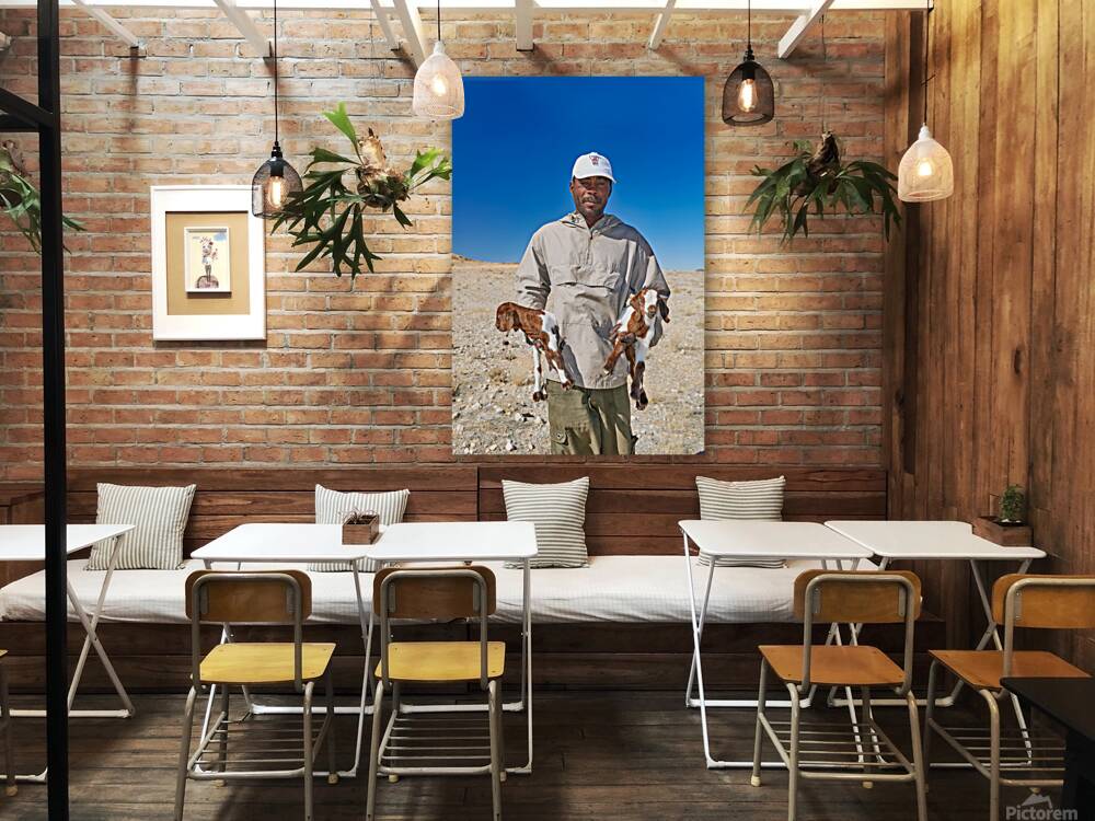 Shepherd holds his young goats in Namibia under bright blue sky Reproduction