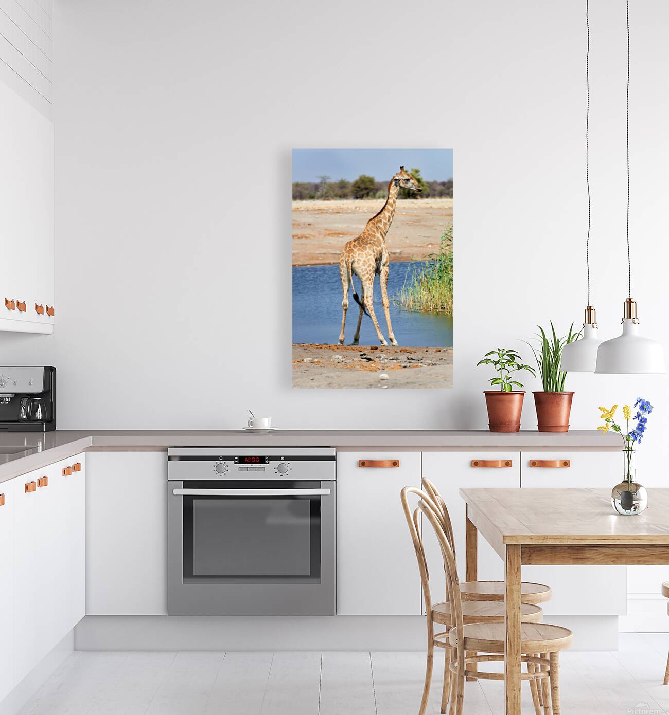 Giraffe drinks water at a waterhole in Etosha National Park Nami Reproduction