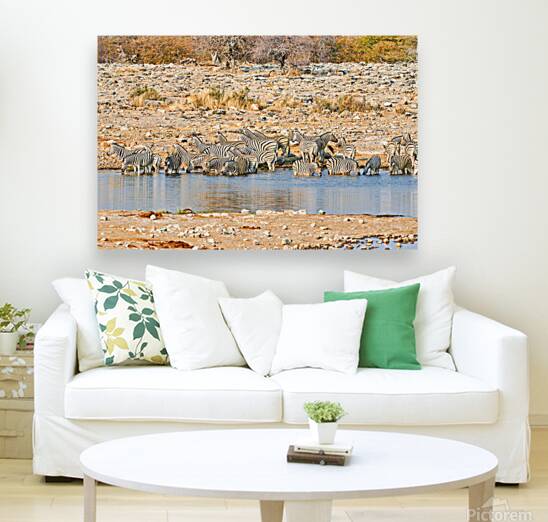 Zebras drink water at a waterhole in Etosha National Park Namibi Reproduction