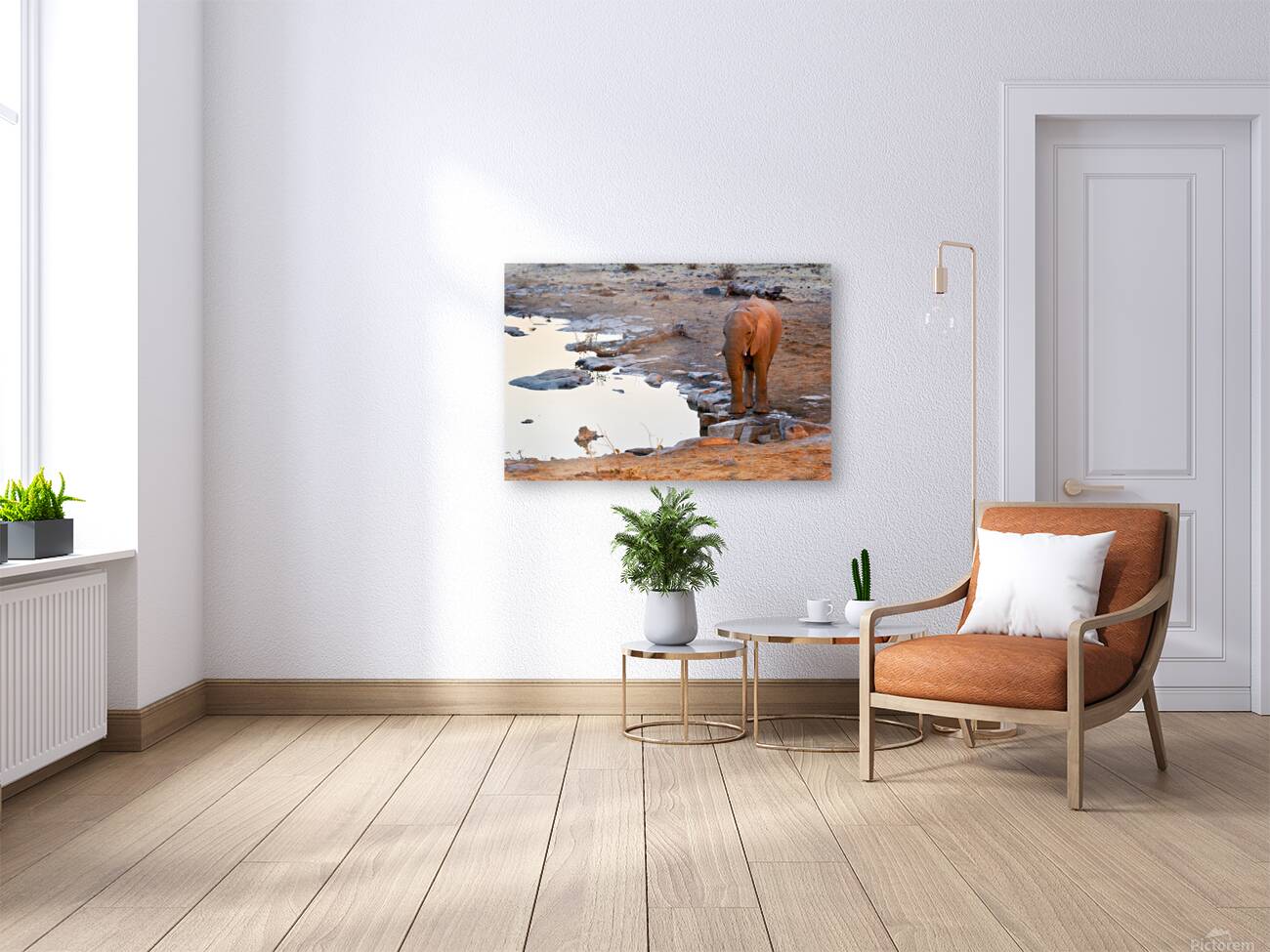 Elephant drinks at waterhole during sunset in Etosha National Pa Reproduction