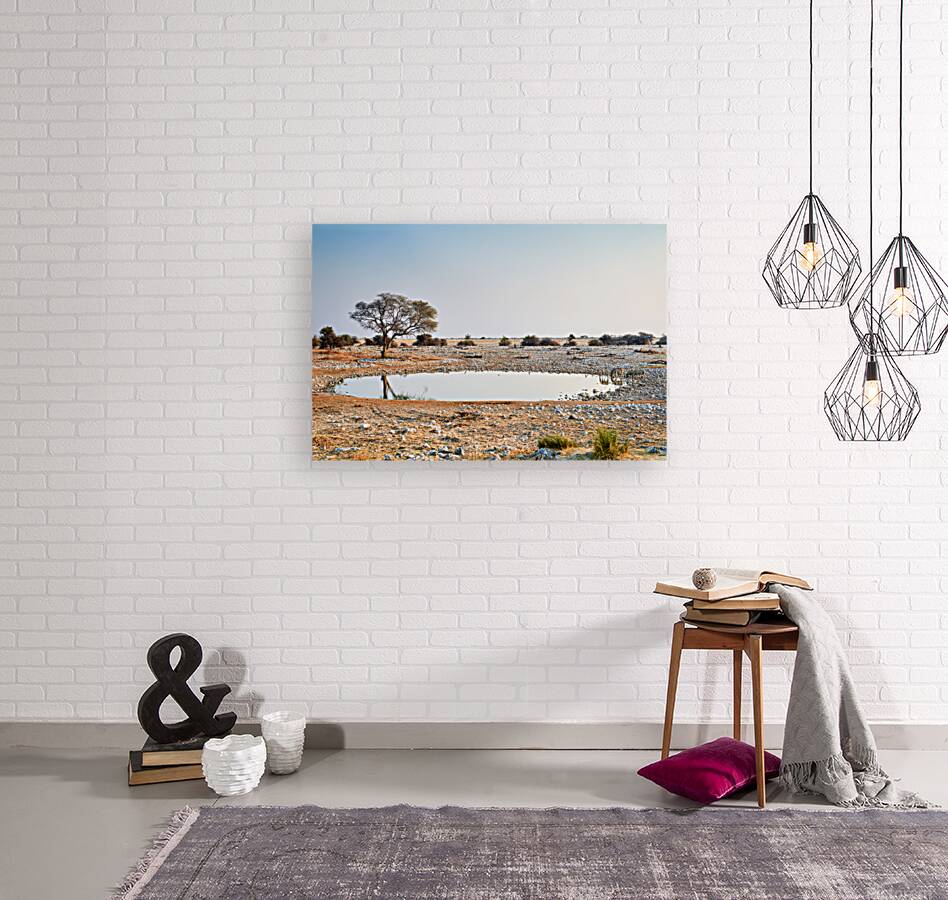 Zebras drink water at a waterhole in Etosha National Park Namibi Reproduction