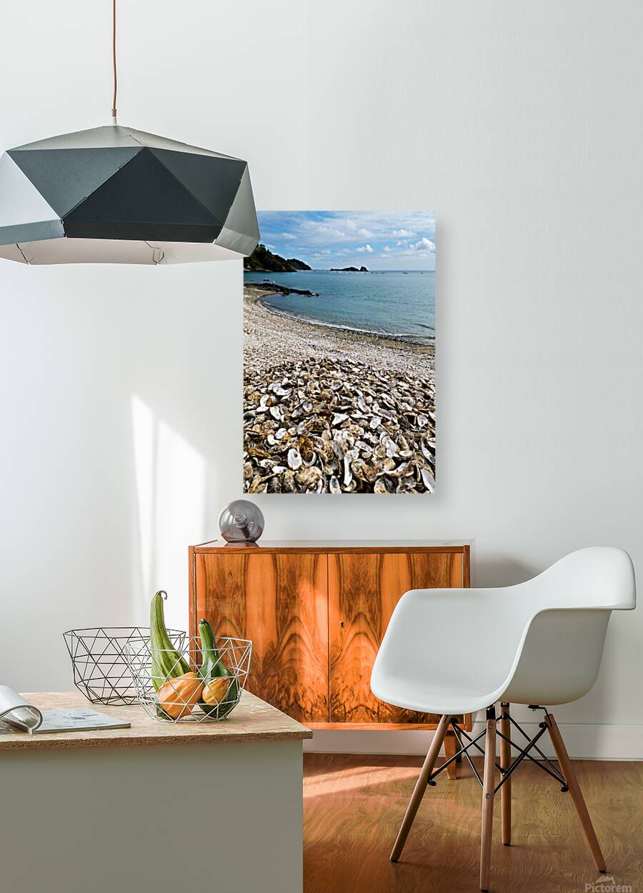 Oyster shells lay on the beach of Cancale Brittany France Reproduction