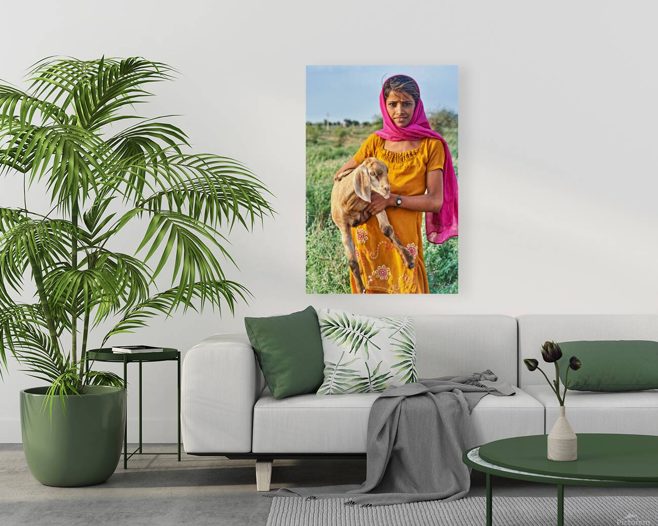 Girl holds goat in Khimsar Rajasthan India during sunny day Reproduction