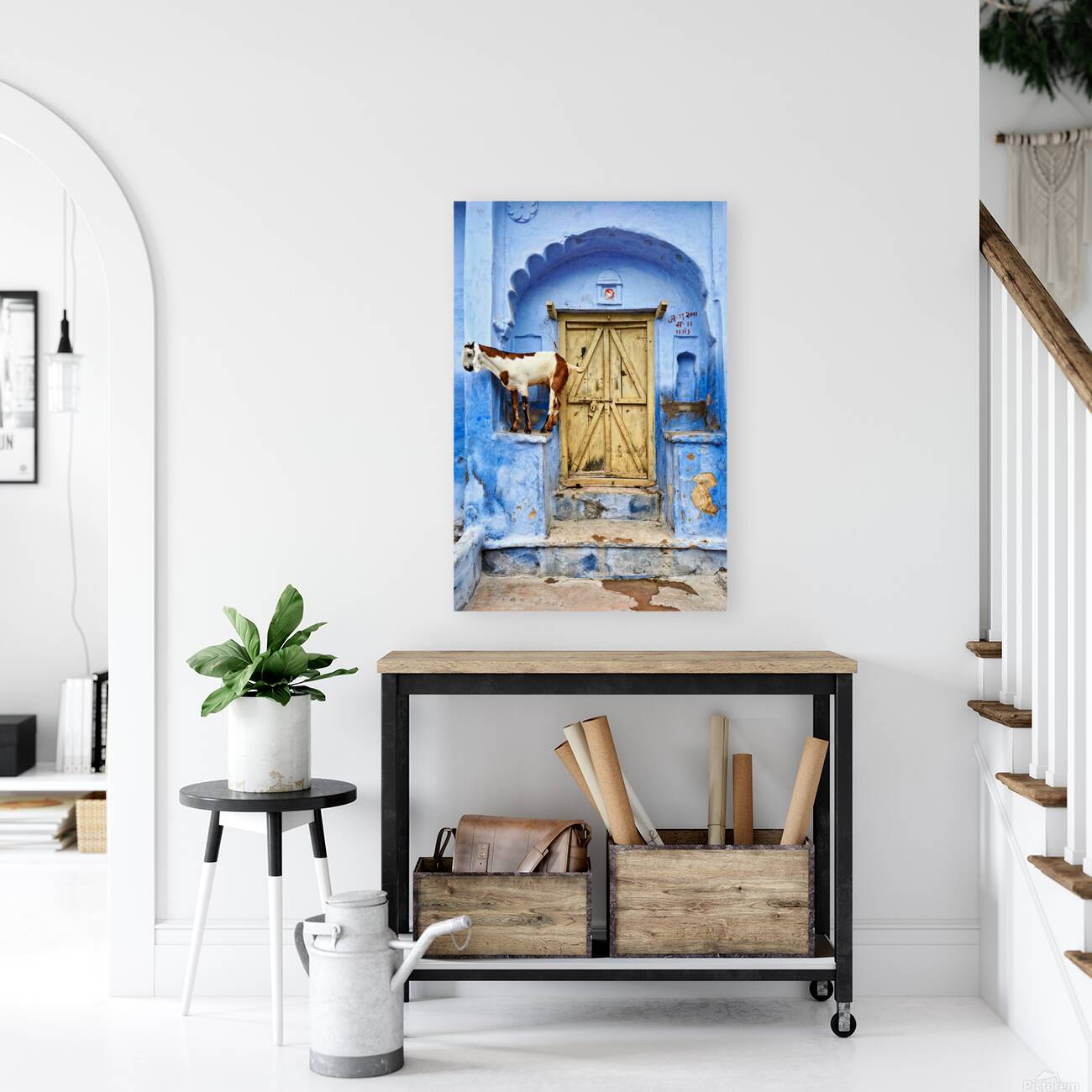 Goat standing on a wall by a wooden door in Bundi Rajasthan Reproduction