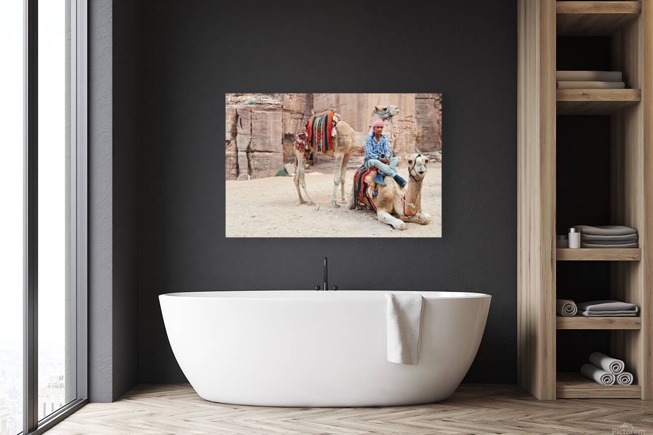 Camels wait for tourists at Petra archaeological site in Jordan Reproduction