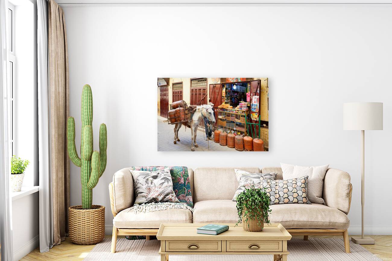 Donkey carrying gas cylinders through Fez Medina streets Reproduction