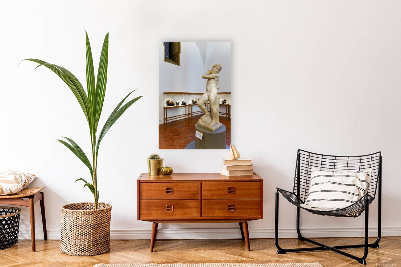 Michelangelos David Apollo in Museo Nazionale del Bargello Flo Reproduction