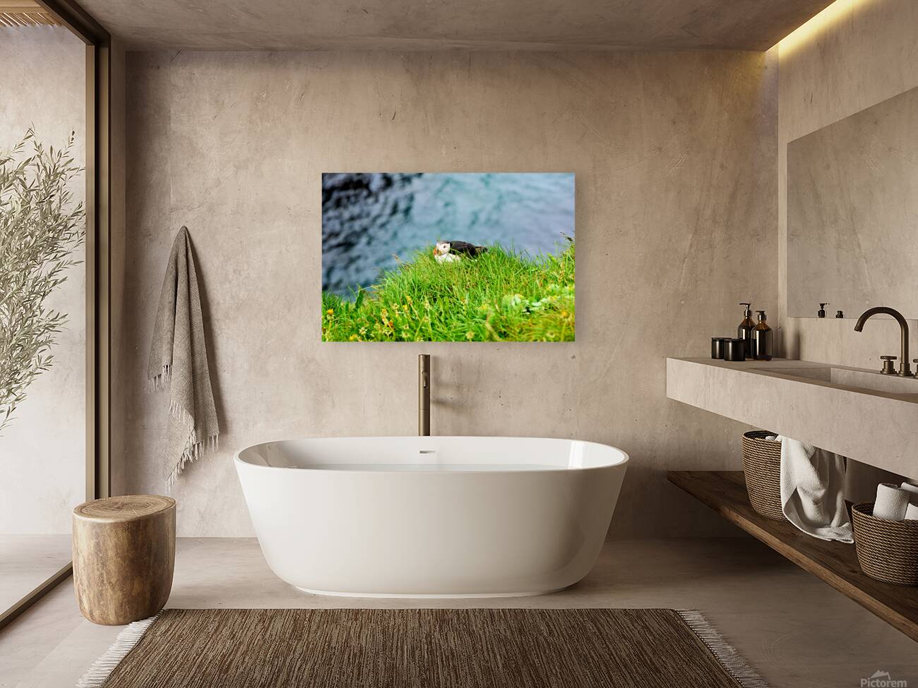 Puffin resting on grass at Borgarfjordur Eystri in Iceland Reproduction