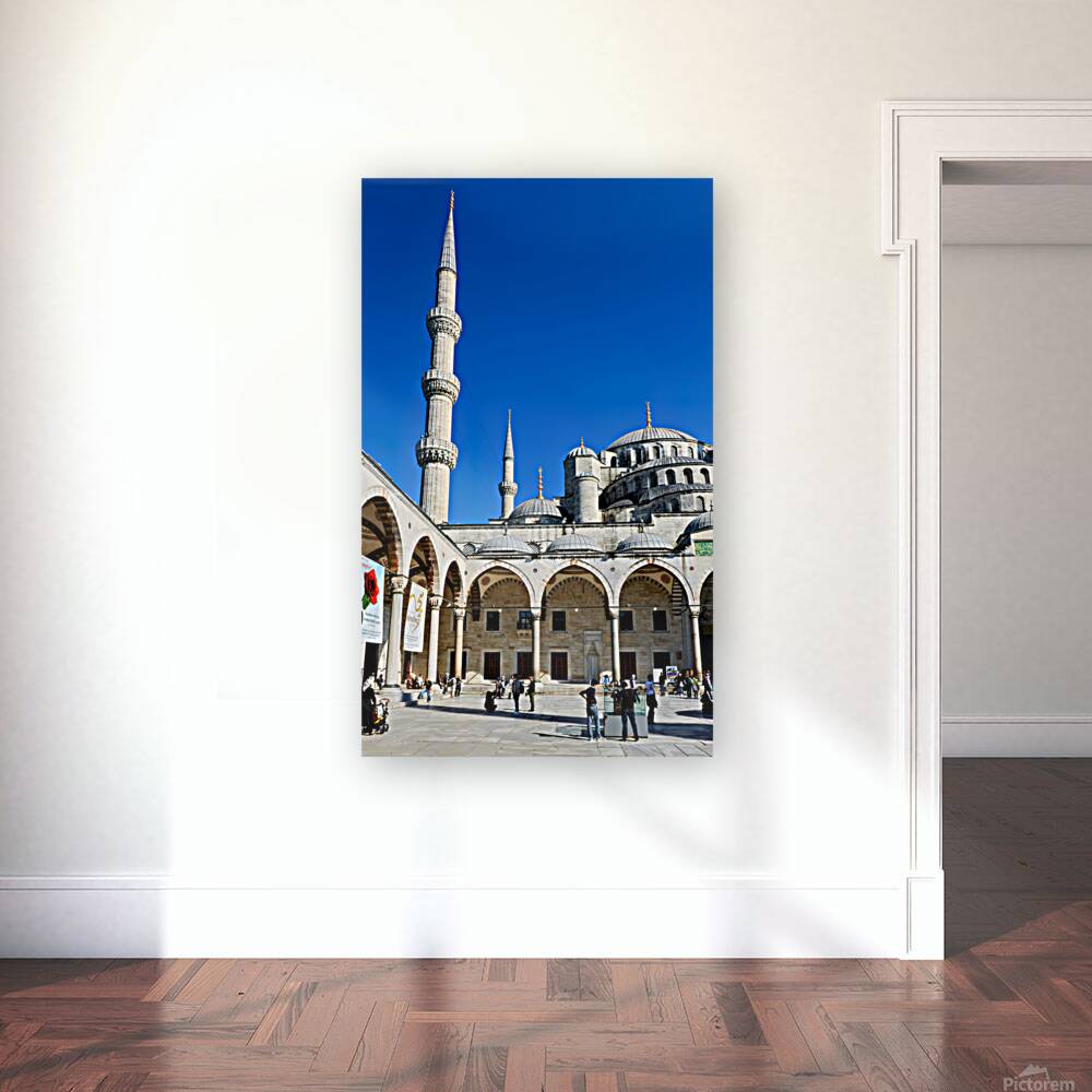 Visit to Blue Mosque in Istanbul on a sunny day Reproduction