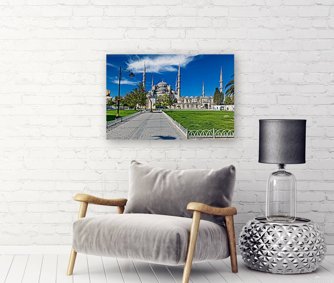 Visit Blue Mosque in Istanbul Turkey with clear sky Reproduction