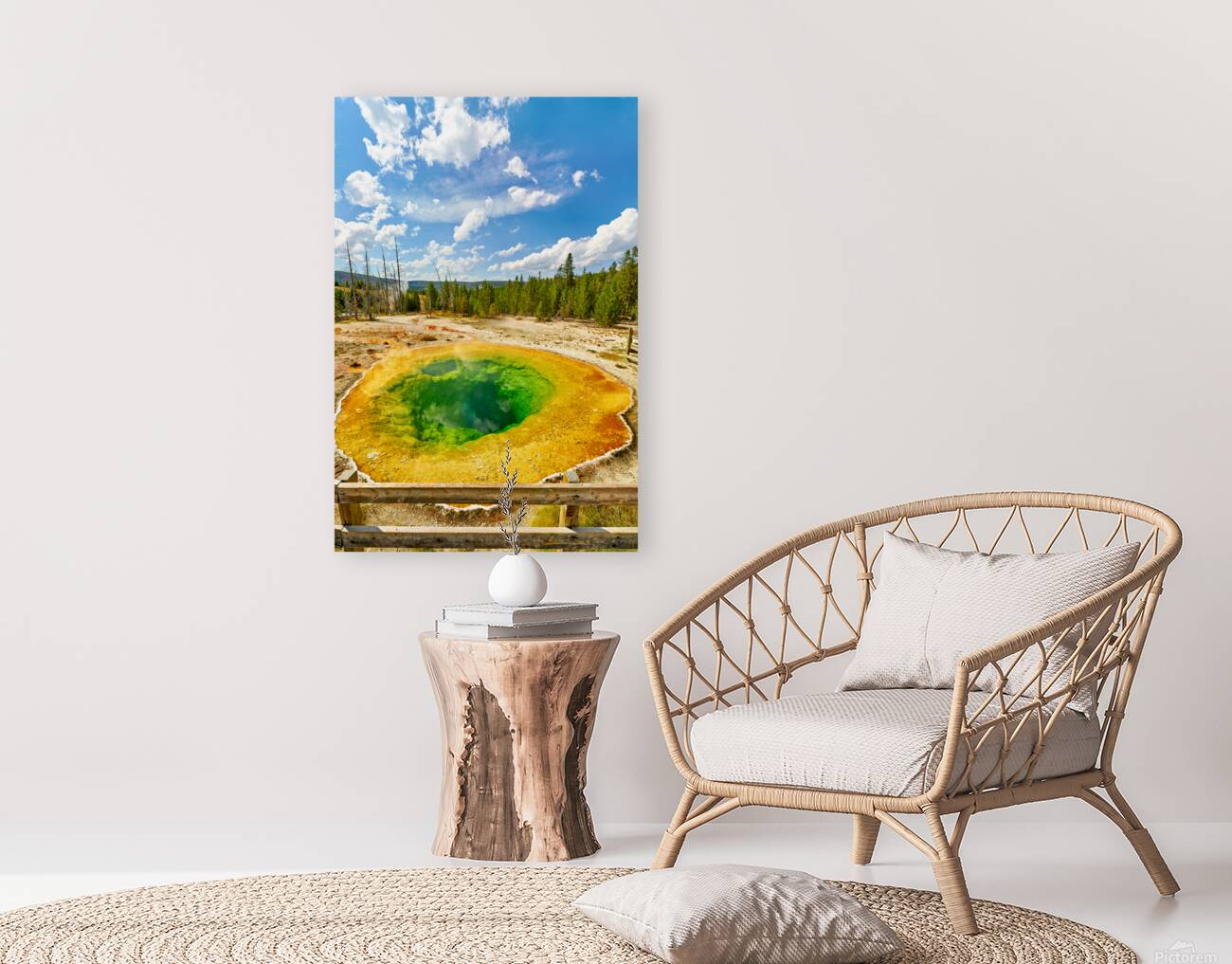 Morning Glory Pool shows colors at Yellowstone National Park Reproduction