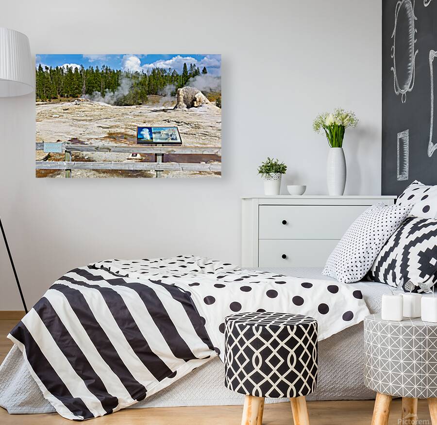 Giant Geyser erupts in Yellowstone National Park during daytime Reproduction