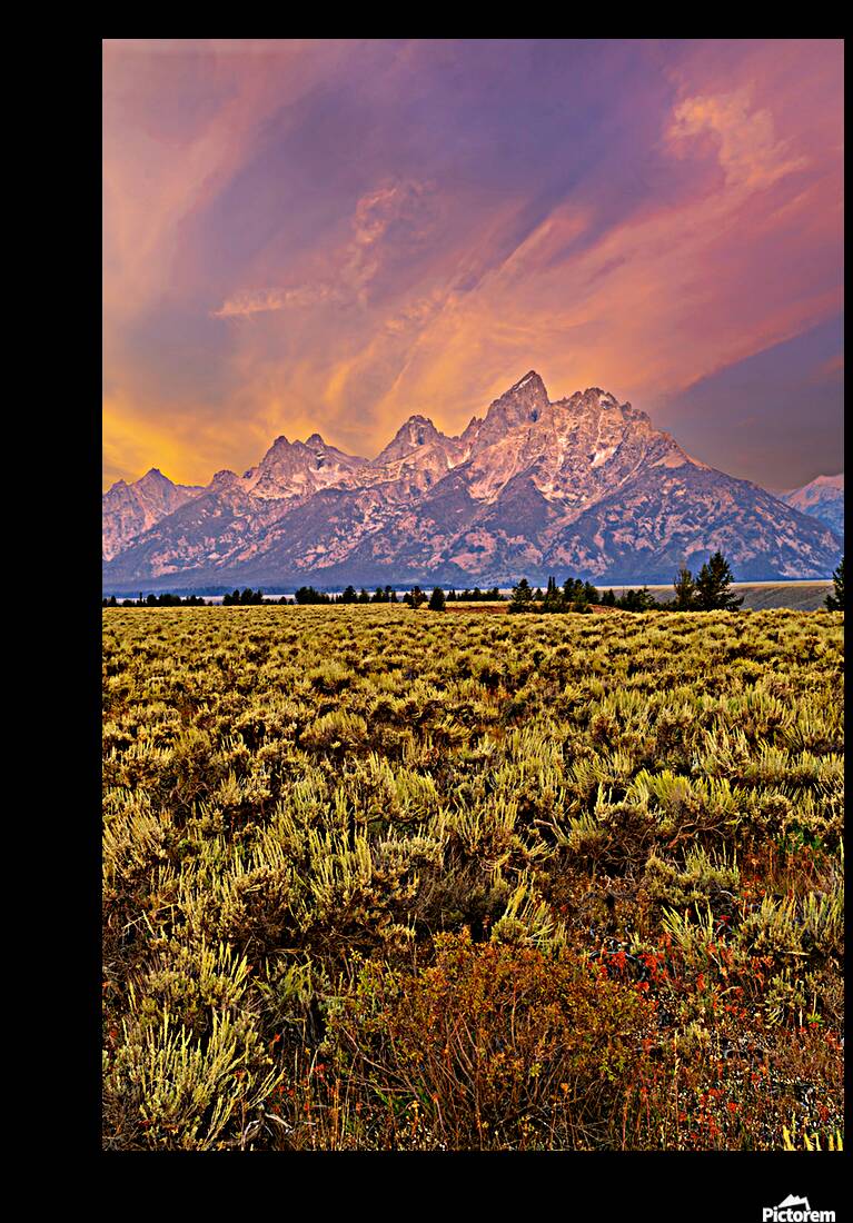 Grand Teton National Park view during the evening light Reproduction