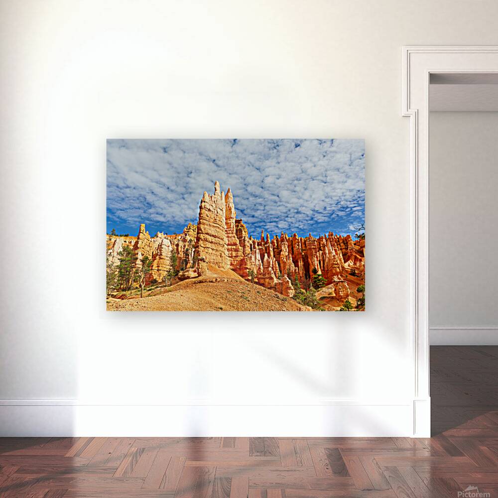 NP USA 00669 Reproduction