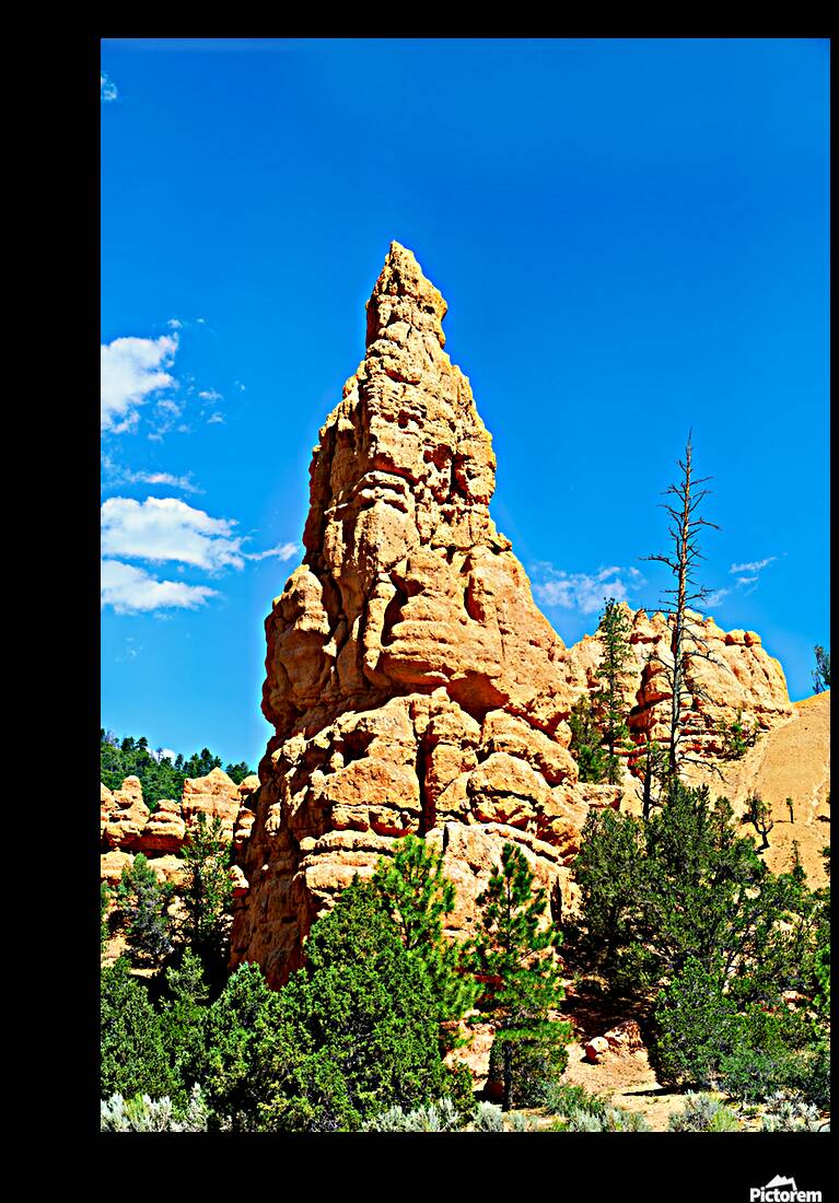 NP USA 00428 Reproduction