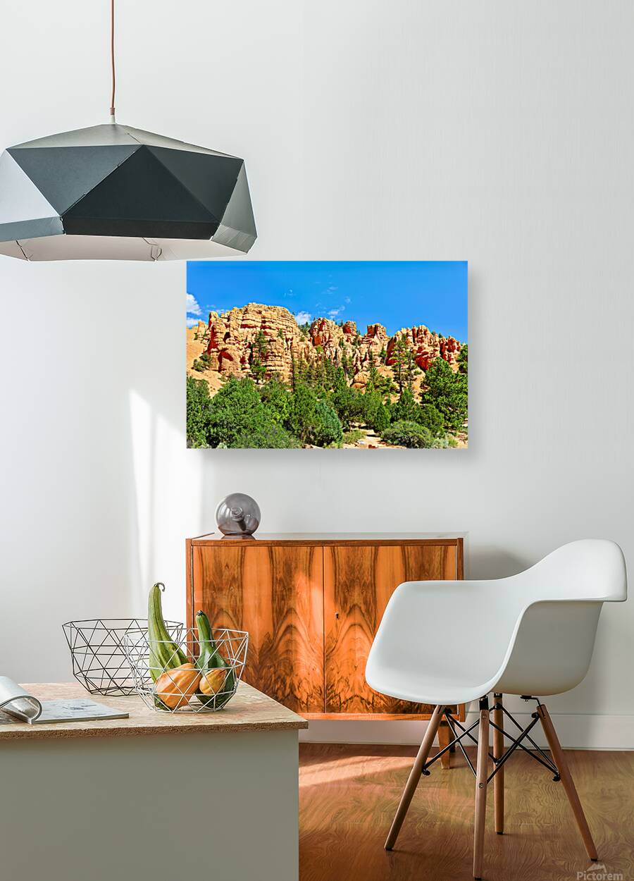 Scenes from Dixie National Forest in Utah during daytime Reproduction