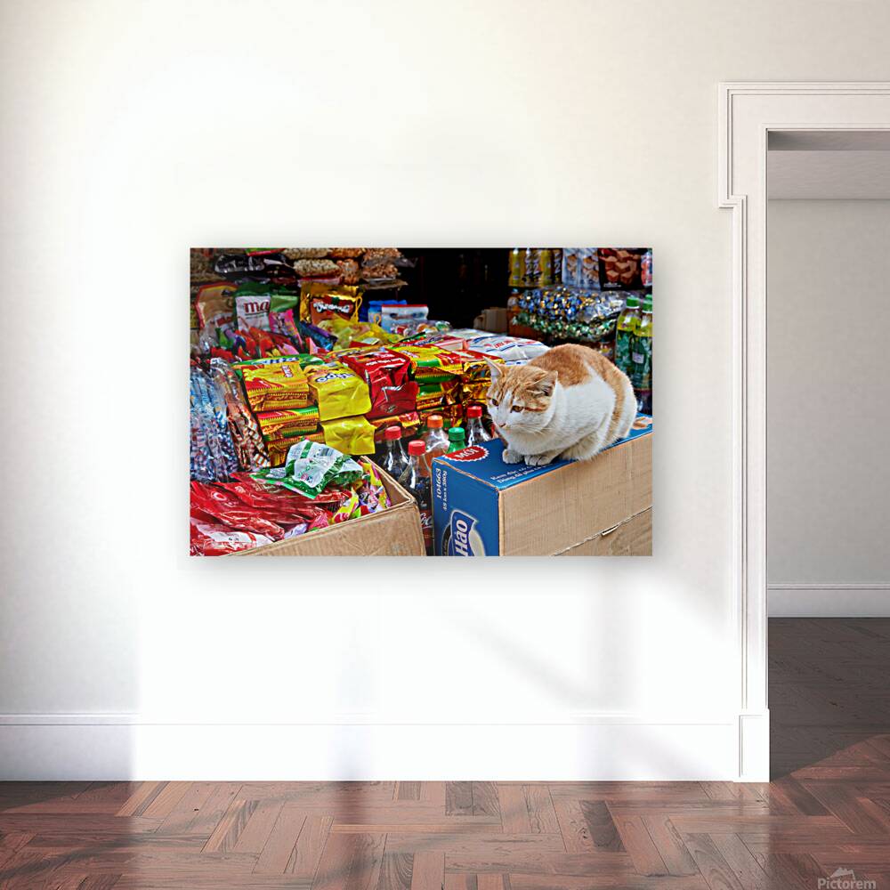 Cat sitting on boxes in Hanoi market during daytime Reproduction