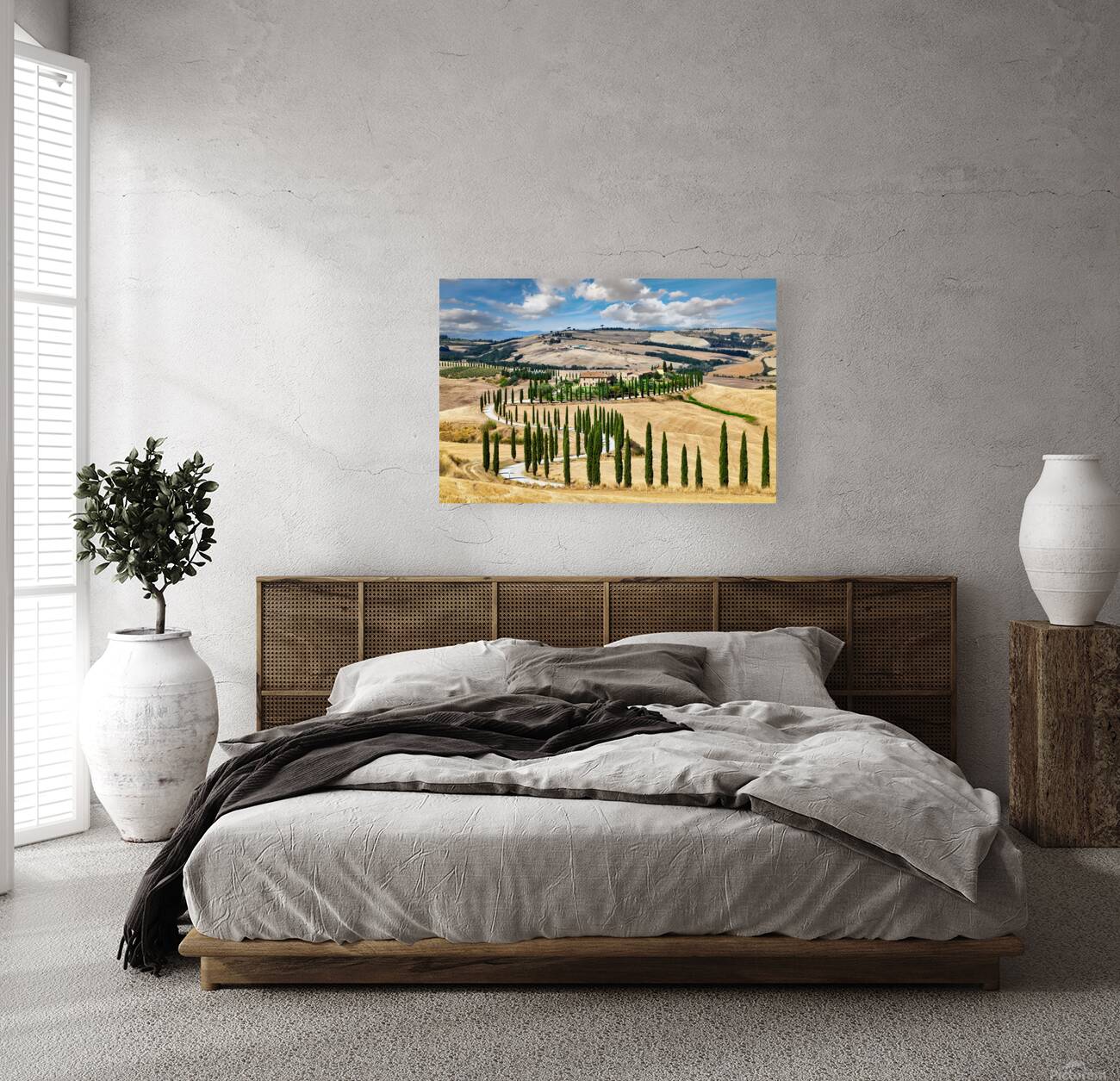 Cypress trees line winding road in Val dOrcia Tuscany Reproduction
