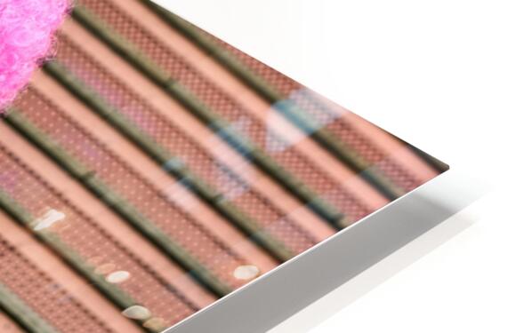 Lolita girl holds sign in Shibuya District of Tokyo during Afro  HD Sublimation Metal print