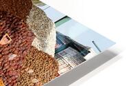 Morocco Marrakesh. Sale of dried fruit HD Metal print