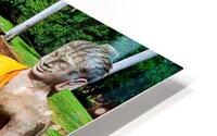 Ancient statue overlooks temple ruins amidst lush greenery. HD Metal print