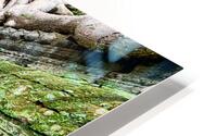 Ancient temple ruins consumed by giant tree roots and jungle. HD Metal print