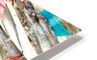 Fresh fish and seafood displayed on ice in Dubai market HD Metal print