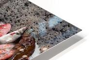 Fresh seafood display at Piscaria market in Catania Sicily HD Metal print