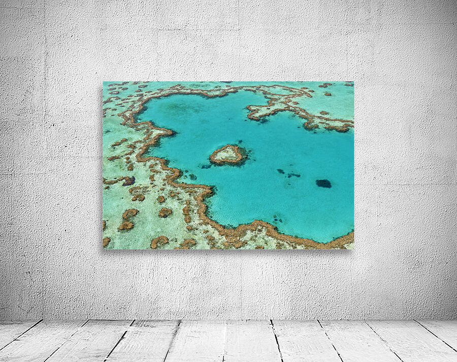 Heart Reef. Hardy reef. Great Barrier Reef. Queensland. Australia Wall Preview