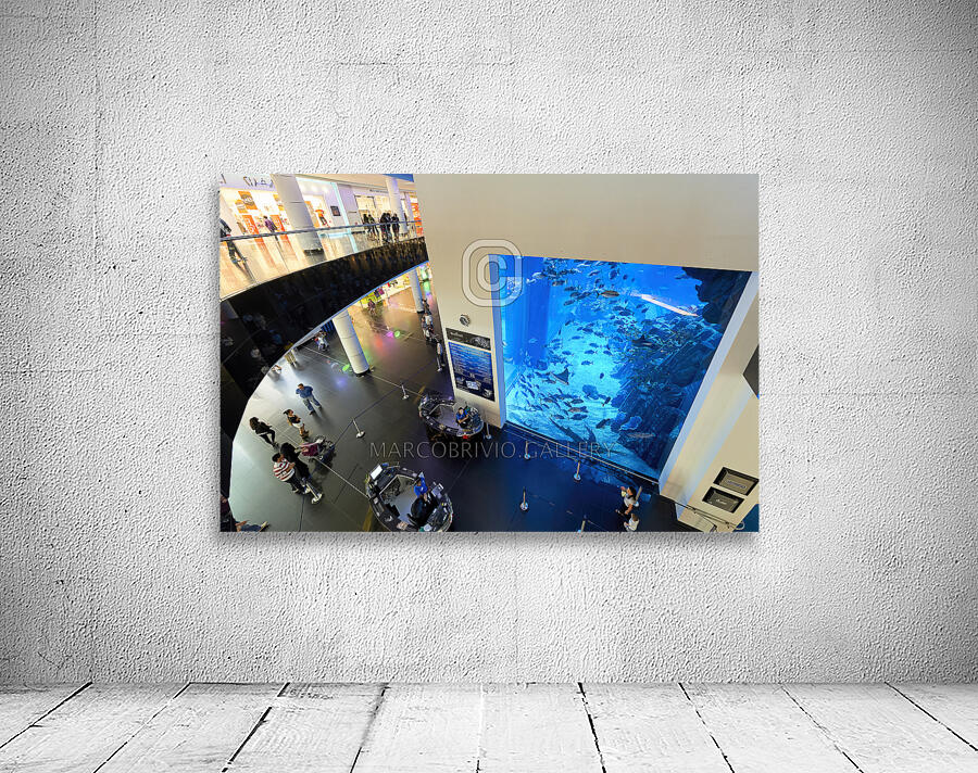 Dubai. UAE. Aquarium and underwater zoo Wall Preview