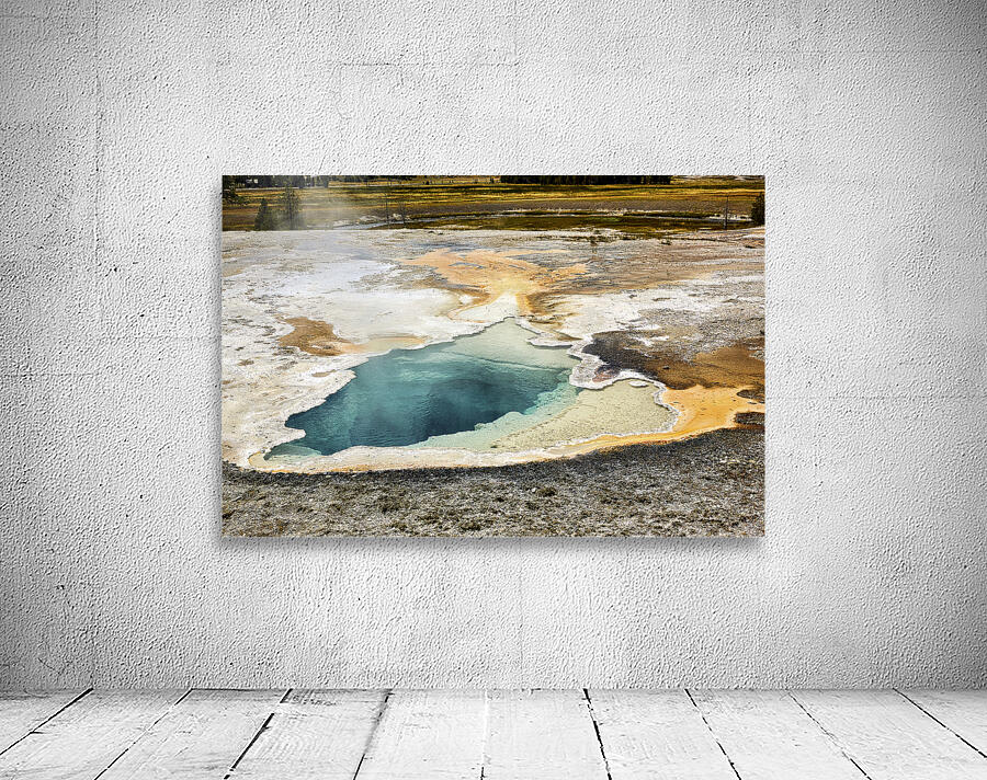 Depression Geyser. Yellowstone National Park. Wyoming. USA Wall Preview