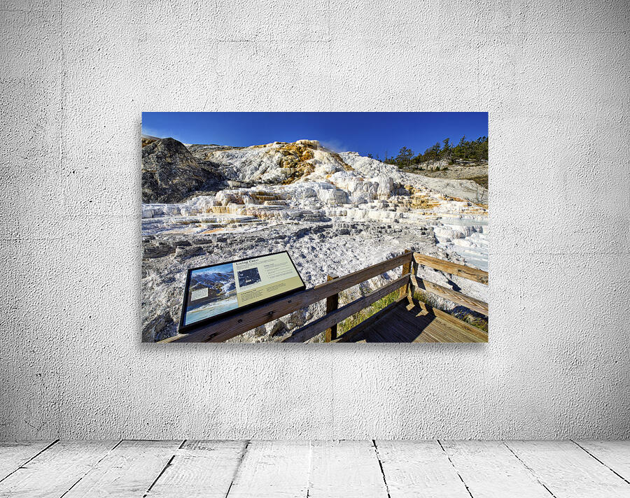 Palette Springs. Devils thumb at the Mammoth Hot Springs. Yellowstone National Park. Wyoming. USA. Wall Preview