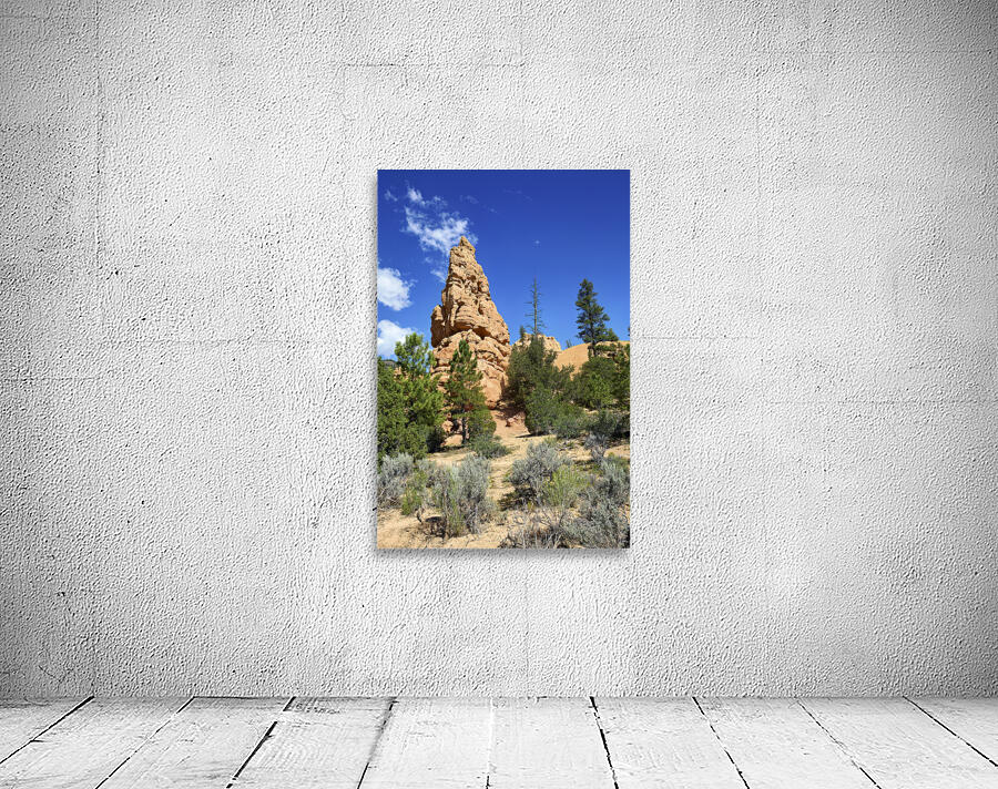 Hoodoohs at the Dixie National Forest. Utah. USA Wall Preview