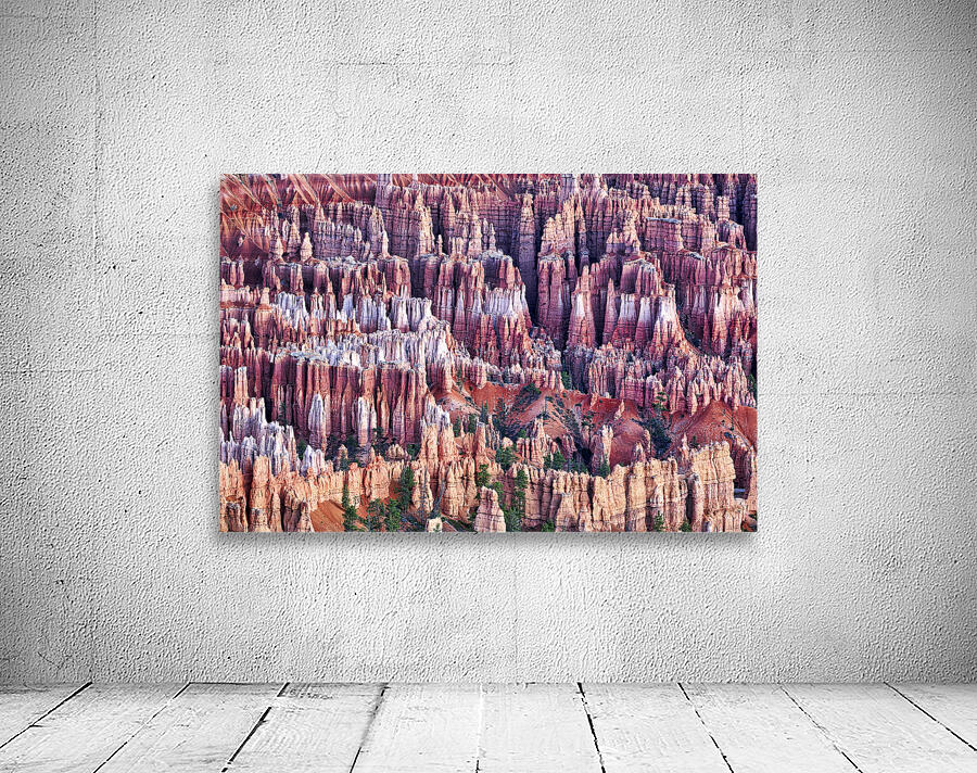 Sunrise at Bryce Point lookout in the Bryce Canyon National Park. Utah USA Wall Preview