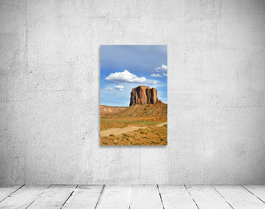Monument Valley. Navajo Nation. Elephant Butte Wall Preview