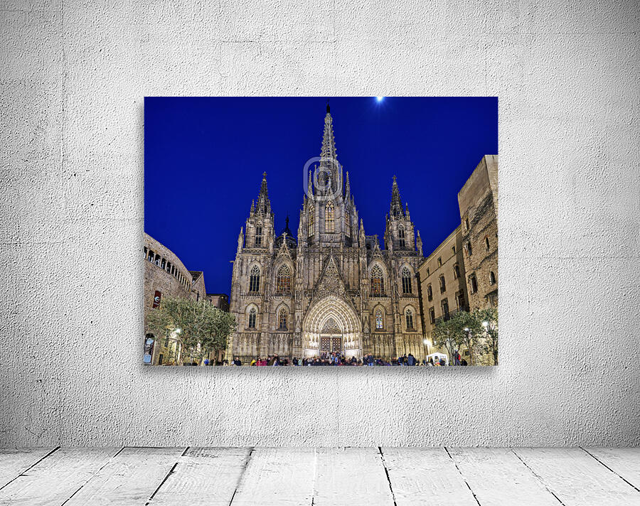 Barcelona. Catalonia. Spain. The Cathedral of the Holy Cross and Saint Eulalia Wall Preview
