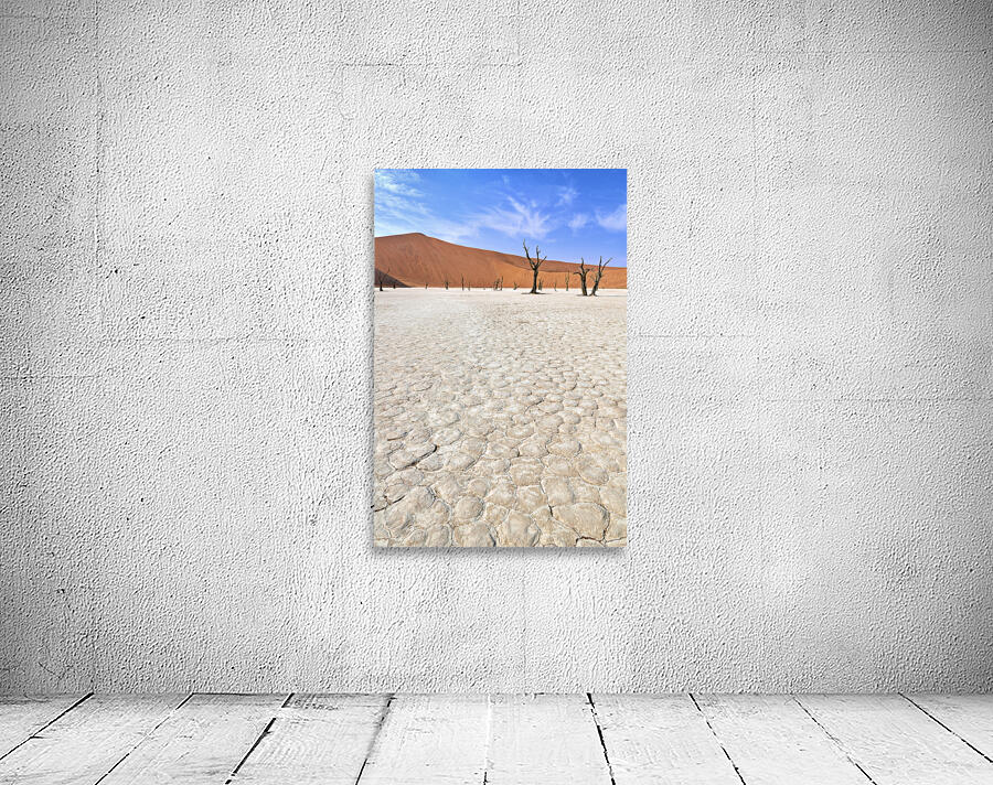 Namibia. Deadvlei clay pan. Namib Naukluft National Park. A dried out dead camel thorn Vachellia erioloba Wall Preview