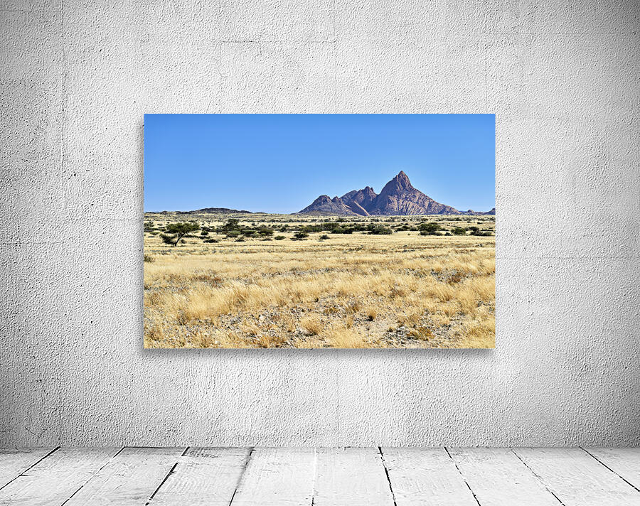 Namibia. Spizkoppe granite peaks in the Namib Desert Wall Preview