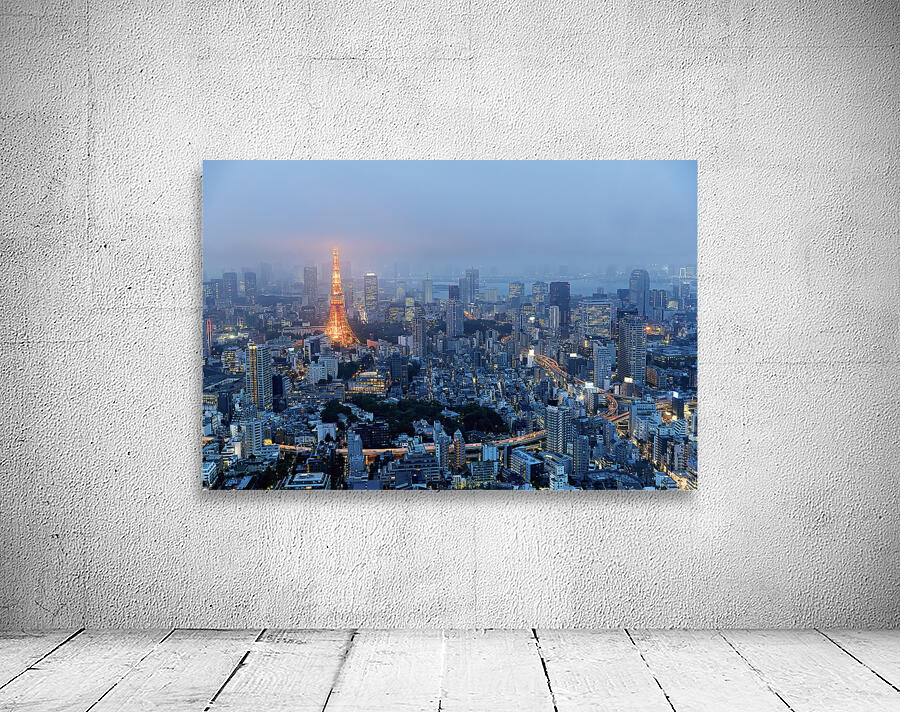 Japan. Tokyo. Aerial view of Tokyo Tower at dusk Wall Preview