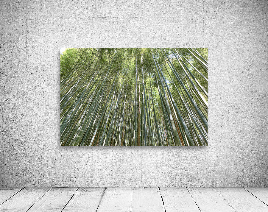 Japan. Kyoto. Arashiyama Bamboo Grove Wall Preview