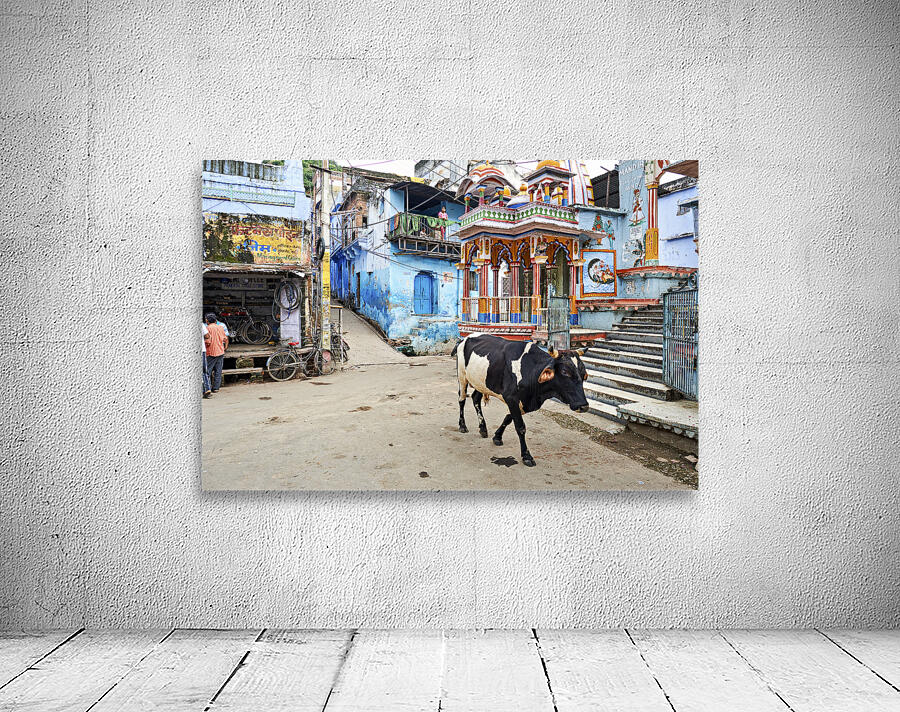 India Rajasthan Bundi. Decorated painted house Wall Preview