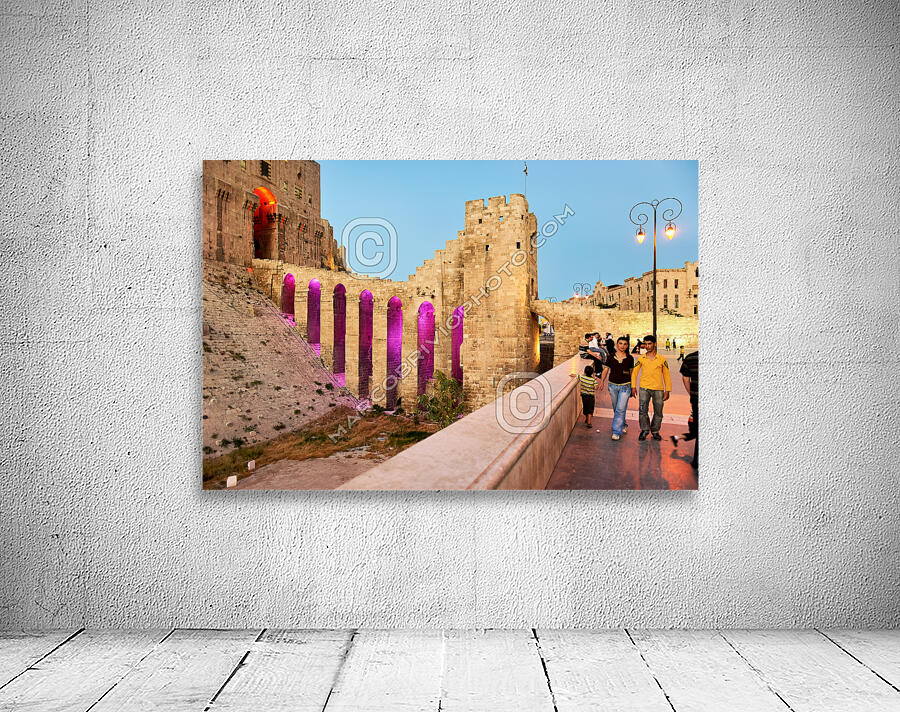 Syria. Aleppo. The Citadel Wall Preview