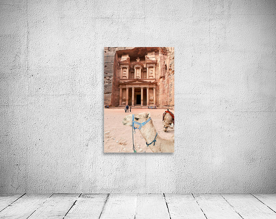 Jordan. Petra archaeological city. Al Khazneh the Treasury Wall Preview